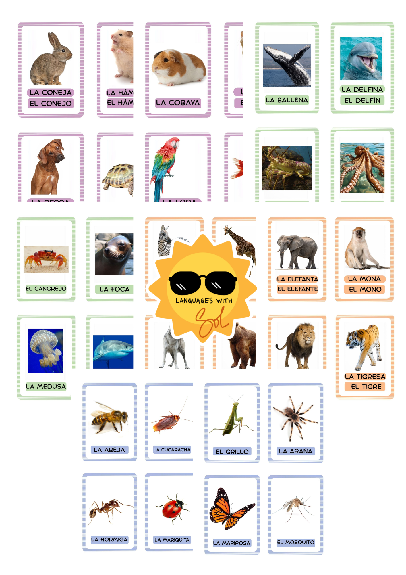 Crucipuzzle: Animali + 40 Flashcards